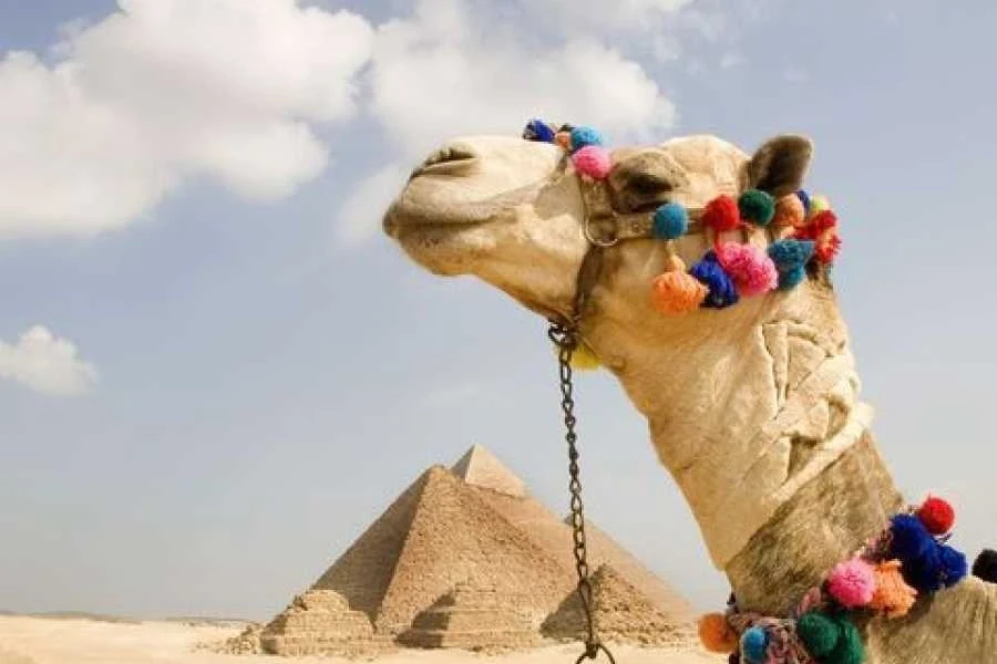 Vacaciones de 13 días en Egipto