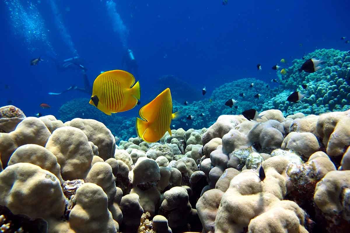 Tour Egipto y Mar Rojo a tu Medida