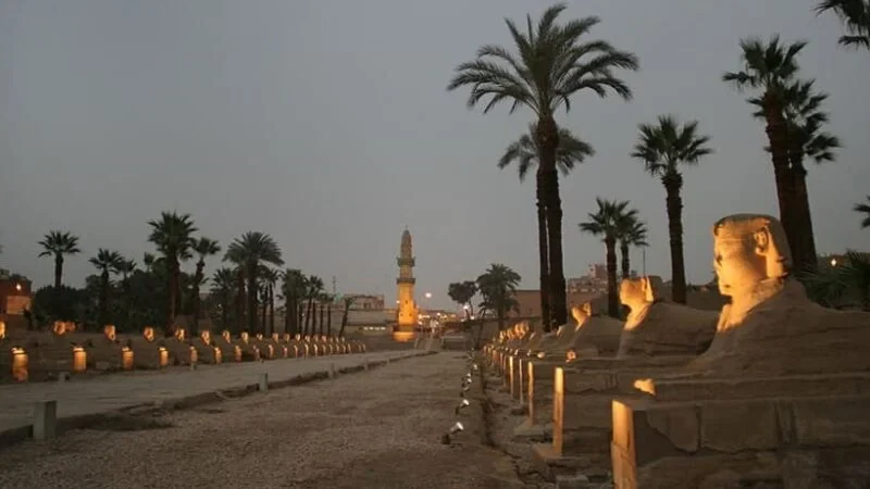 Viaje Privado a Los Templos De Karnak Y Luxor Tour de Medio Día