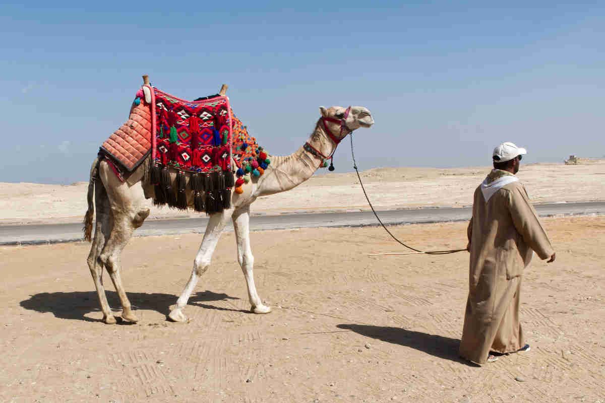 Viajes a Egipto desde Sevilla | Diseño a Medida