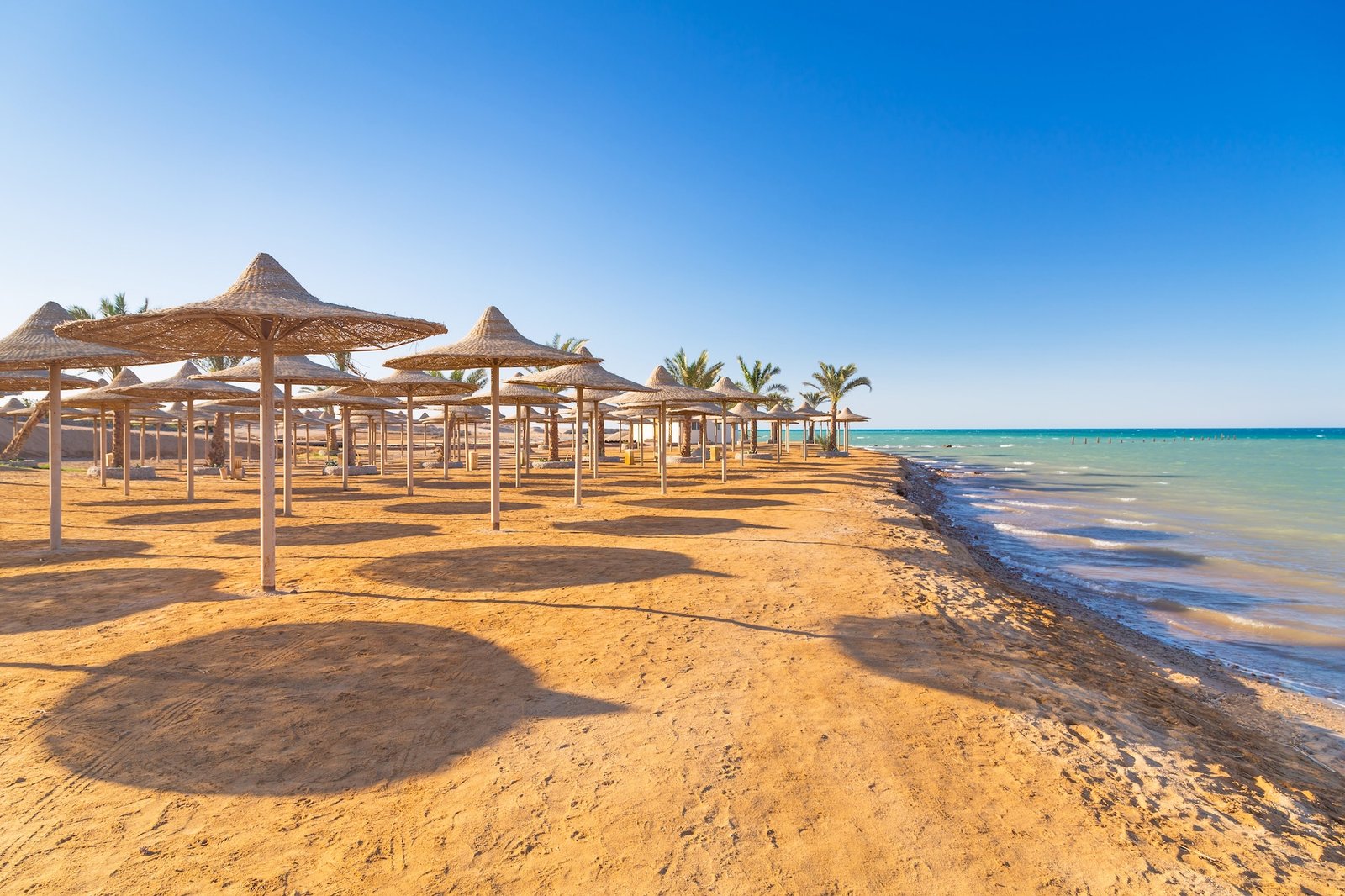 10 Días: Circuito por Egipto y Mar Rojo | Bastet Travel