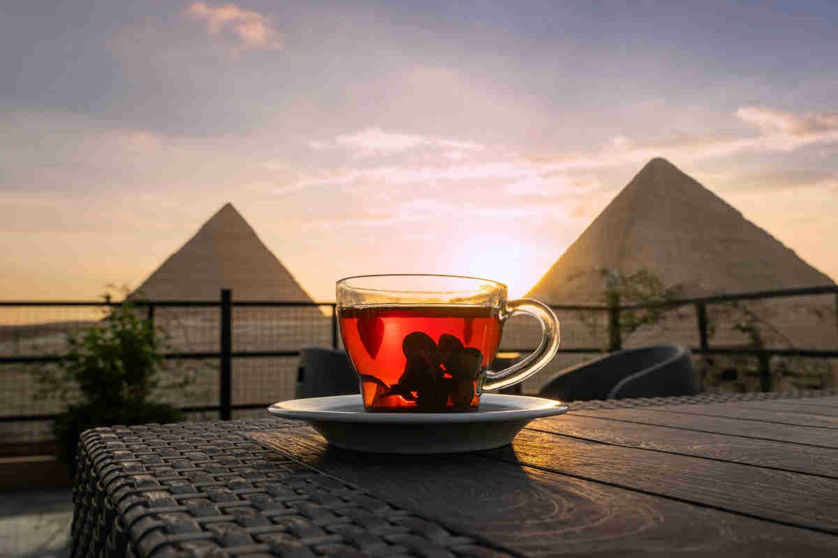 Tour en Egipto en Español: Diseña Tu Itinerario