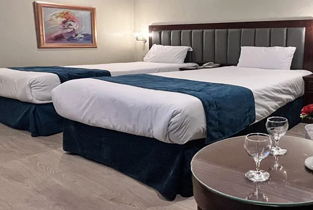 Crucero Nilo Hapi V 4 Días Asuán Luxor