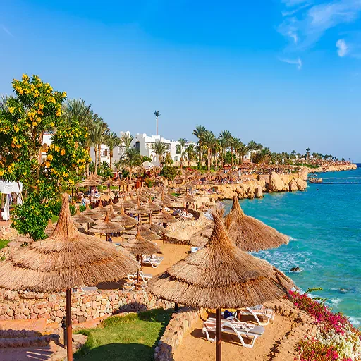 13 Dias Egipto Tour Privado VIP con Crucero, Sharm El Sheikh y Alejandría