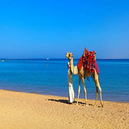 3 Semanas en Egipto El Paquete Turístico Definitivo de 21 Días con Todo Incluido
