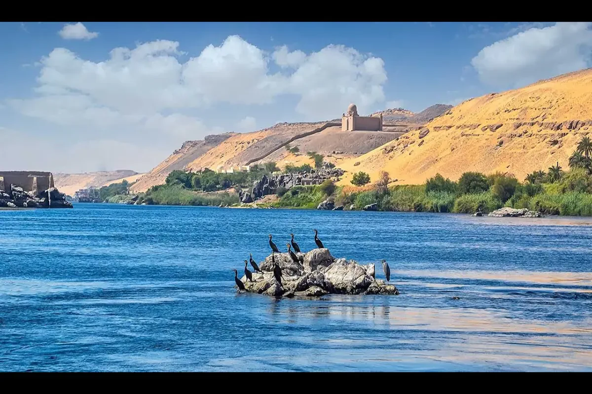 Avistamiento De Aves en Aswan Tour Privado VIP en Faluca