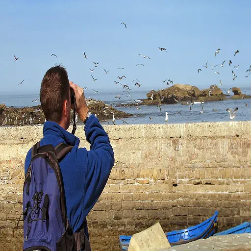 Avistamiento De Aves en Aswan Tour Privado VIP en Faluca