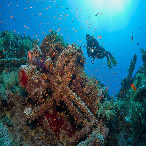 Secretos del Mar Rojo Buceo en Marsa Alam