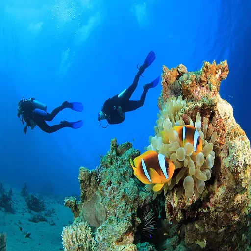 Secretos del Mar Rojo Buceo en Marsa Alam