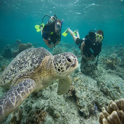 Secretos del Mar Rojo Buceo en Marsa Alam