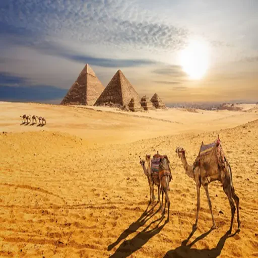 El Cairo en 5 DiasTour Privado VIP con Pirámides, Museos y Gastronomía