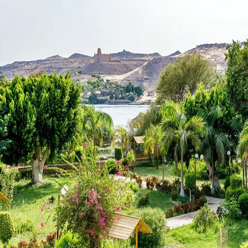 El Jardín Botánico Y El Museo BotánicoTour VIP en Falúa