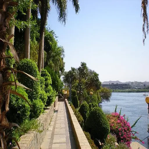 El Jardín Botánico Y El Museo BotánicoTour VIP en Falúa