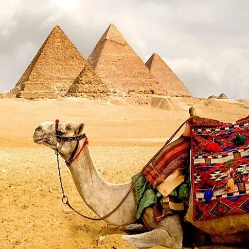 Egipto en Nochevieja Gran Viaje de 14 Días con Crucero y Mar Rojo