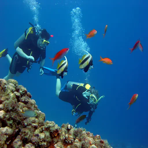 Paraíso de Snorkel Excursión a Port Ghalib Desde Marsa Alam