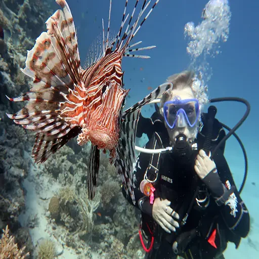 Paraíso de Snorkel Excursión a Port Ghalib Desde Marsa Alam