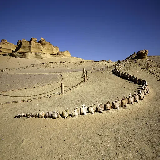 Excursión Desde El Cairo a Wadi El Natrón Tour Privado a los Monasterios Coptos