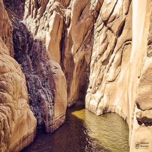 Excursión Desde El Cairo a Wadi El Natrón Tour Privado a los Monasterios Coptos