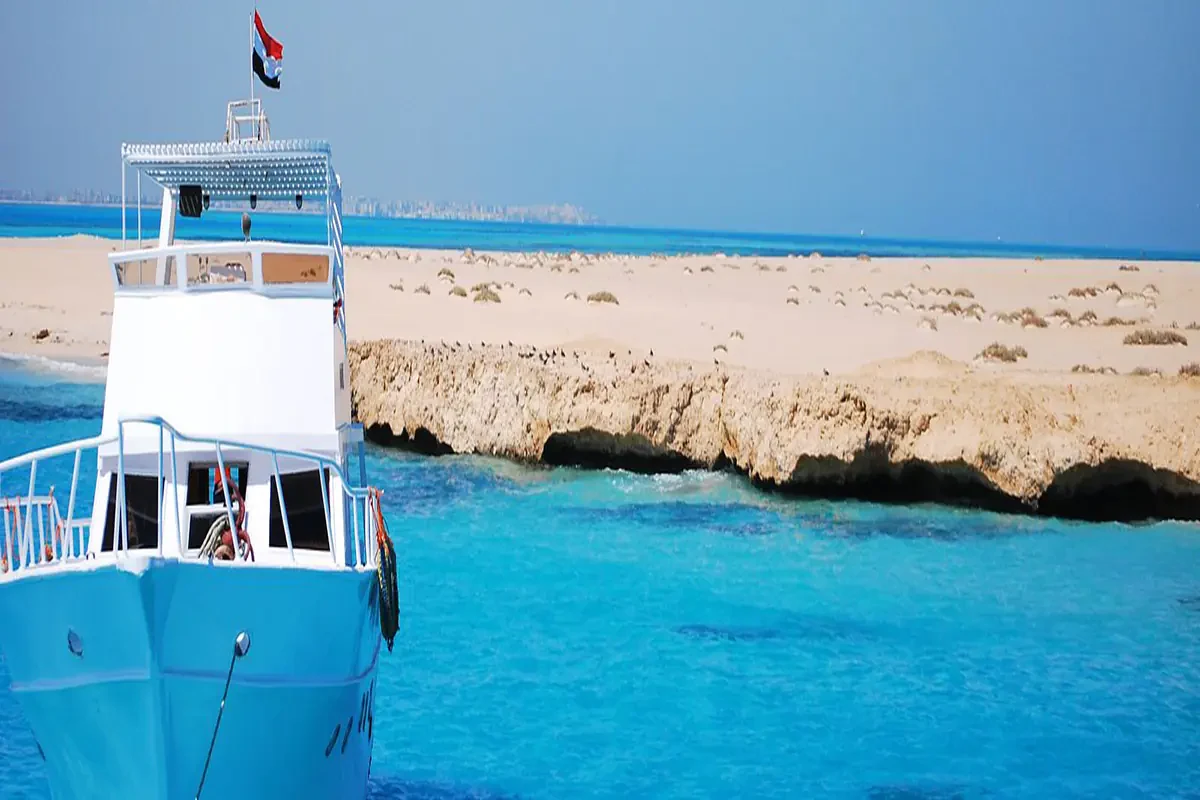 Paraíso de Coral Travesía de Lujo en la Excursión Desde El Puerto De Safaga