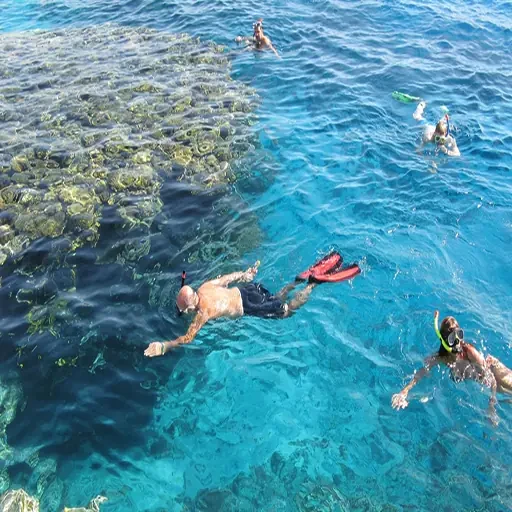 Paraíso de Coral Travesía de Lujo en la Excursión Desde El Puerto De Safaga
