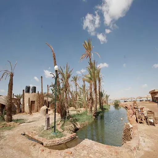 Más Allá del Desierto Expedición Premium en la Excursion Oasis De Siwa