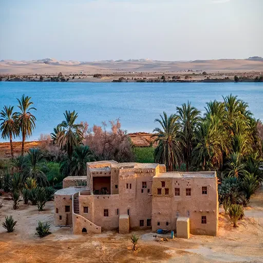 Más Allá del Desierto Expedición Premium en la Excursion Oasis De Siwa