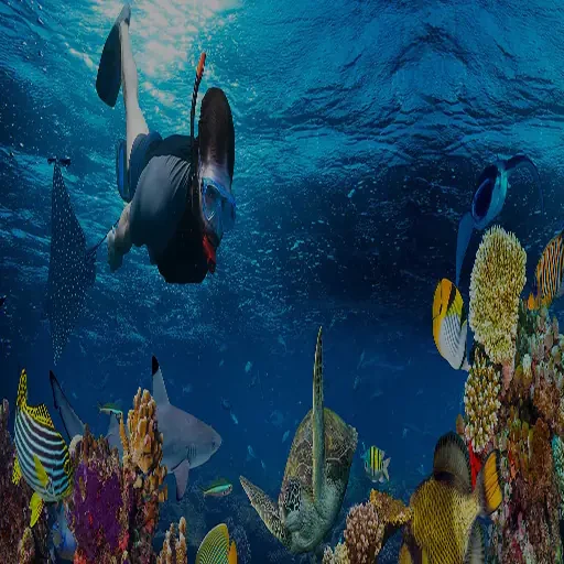 Isla Giftun en Hurghada Tour Privado de Snorkel y Playa VIP