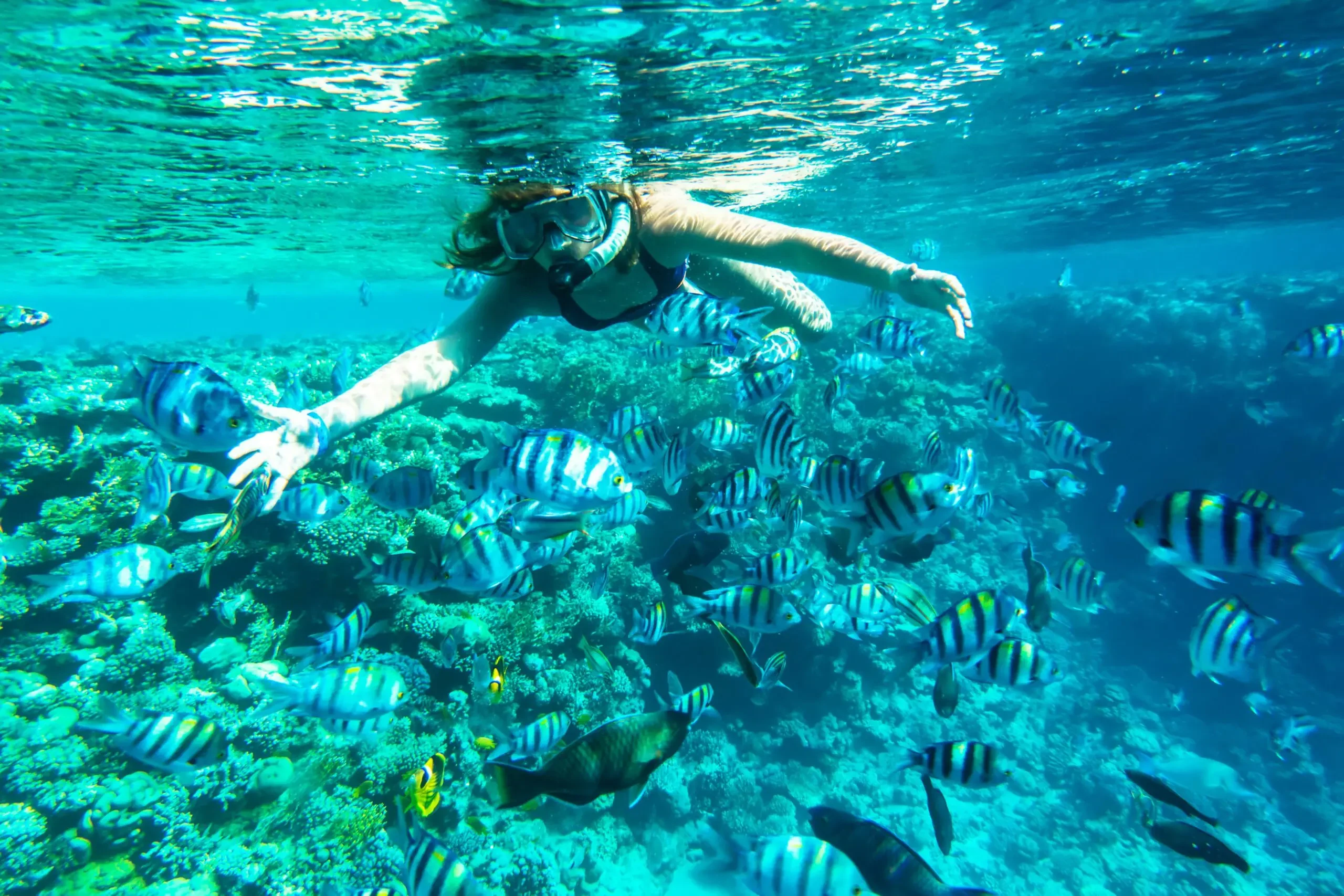 Isla Mahmya en Hurghada Tour Privado de Lujo y Snorkel VIP