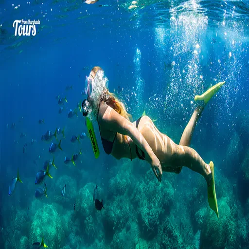 Isla Mahmya en Hurghada Tour Privado de Lujo y Snorkel VIP