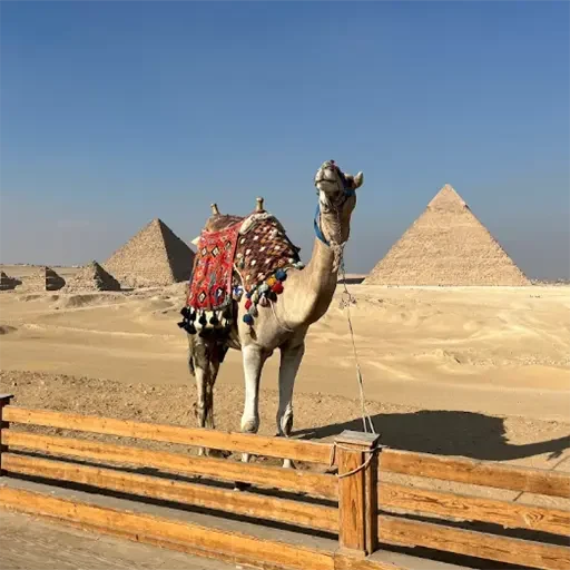 Excursión Privada al Nuevo Gran Museo Egipcio De El Cairo desde Hurghada
