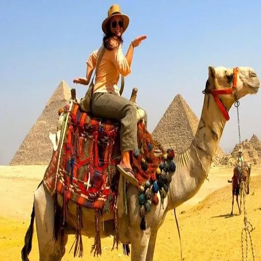 Excursión Privada al Nuevo Museo Del Cairo desde Luxor en Avión