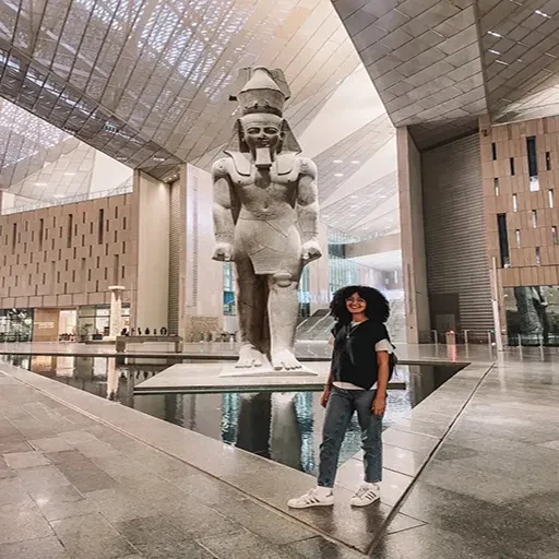 Excursión Privada al Nuevo Museo Del Cairo desde Luxor en Avión
