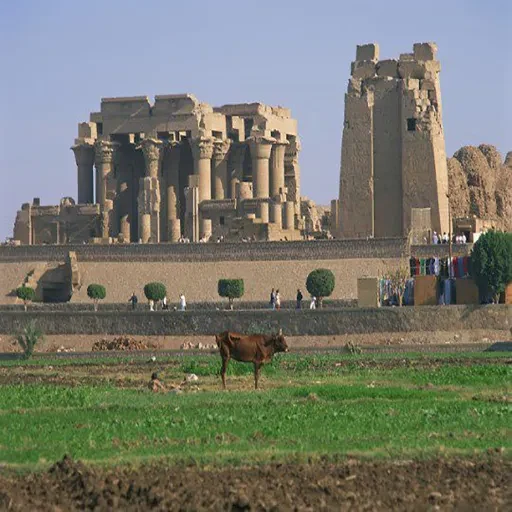 Paquete Turístico a Kom Ombo