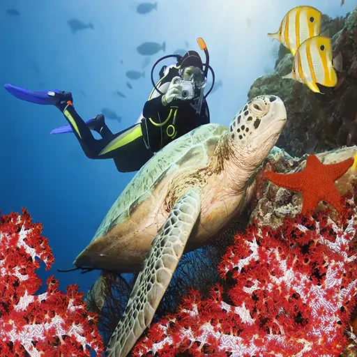 Sharm El-sheij Snorkel y Buceo Tour Privado VIP en el Mar Rojo