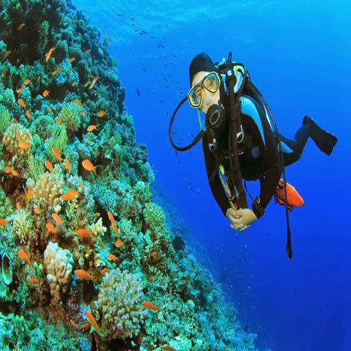 Sharm El-sheij Snorkel y Buceo Tour Privado VIP en el Mar Rojo