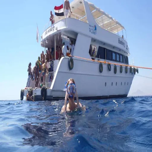 Snorkel en Ras Mohamed: Exploración del Parque Nacional