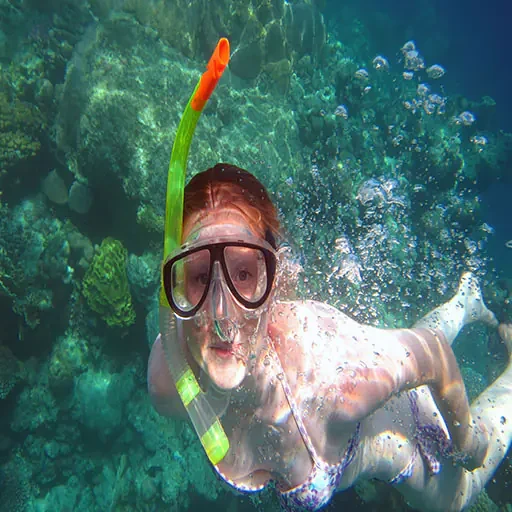 Snorkel en Ras Mohamed: Exploración del Parque Nacional