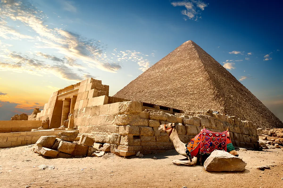 Tour Pirámides Giza Español Visita Privada VIP a Saqqara y Menfis