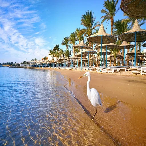 Grandes Vacaciones De Semana Santa en Egipto con Crucero y Mar Rojo