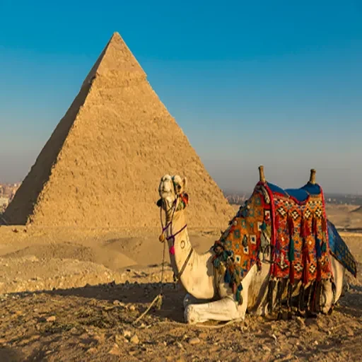 Viaje a Egipto Navidad Circuito de 7 Días con El Cairo y Sharm El-Sheikh