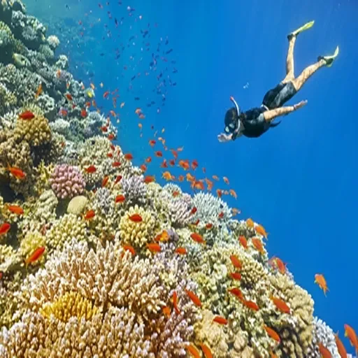 Viaje a Egipto Navidad Circuito de 7 Días con El Cairo y Sharm El-Sheikh