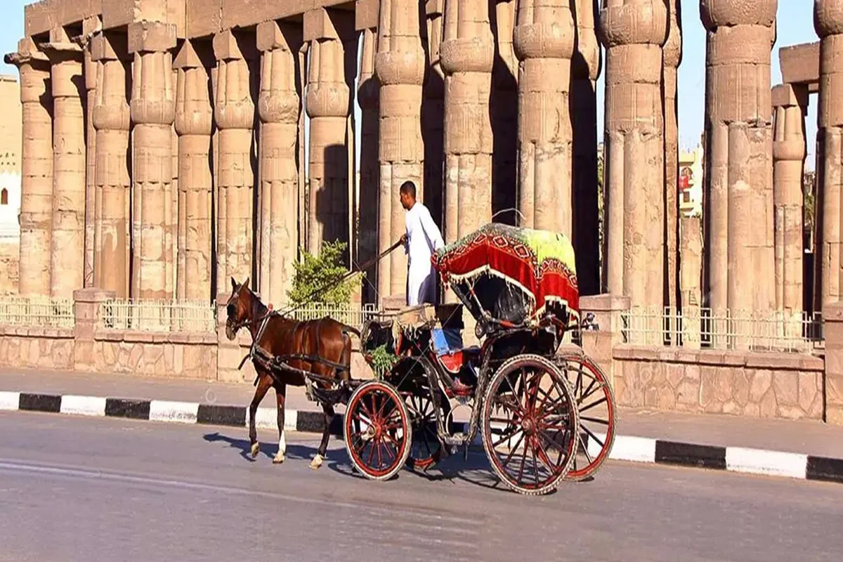 Visita Guiada Por Luxor Tour Privado VIP en Coche de Caballos