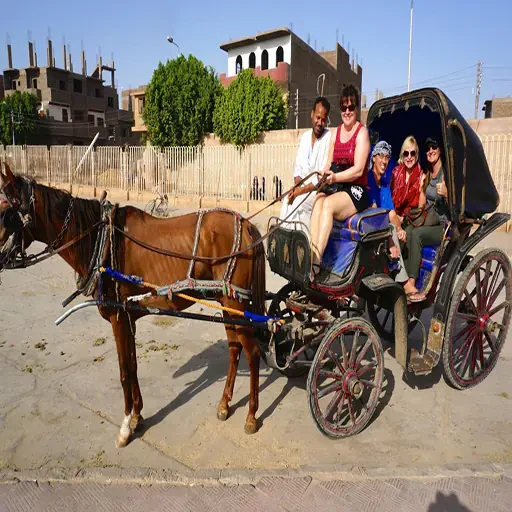 Visita Guiada Por Luxor Tour Privado VIP en Coche de Caballos