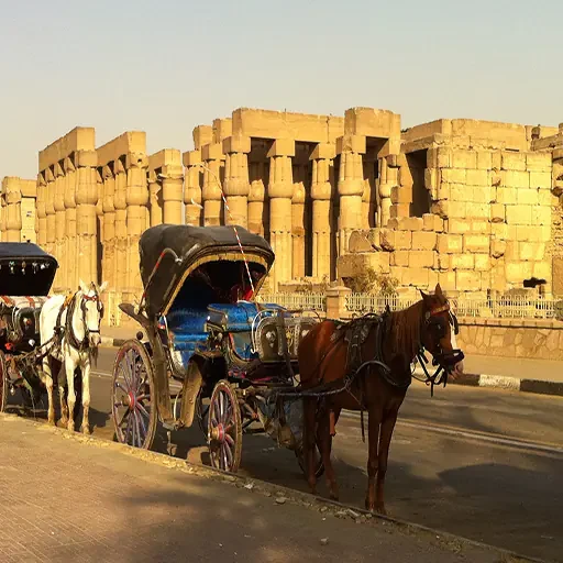 Visita Guiada Por Luxor Tour Privado VIP en Coche de Caballos