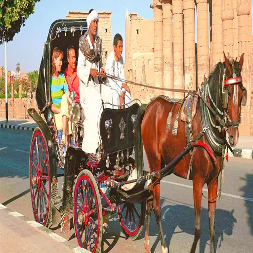 Visita Guiada Por Luxor Tour Privado VIP en Coche de Caballos