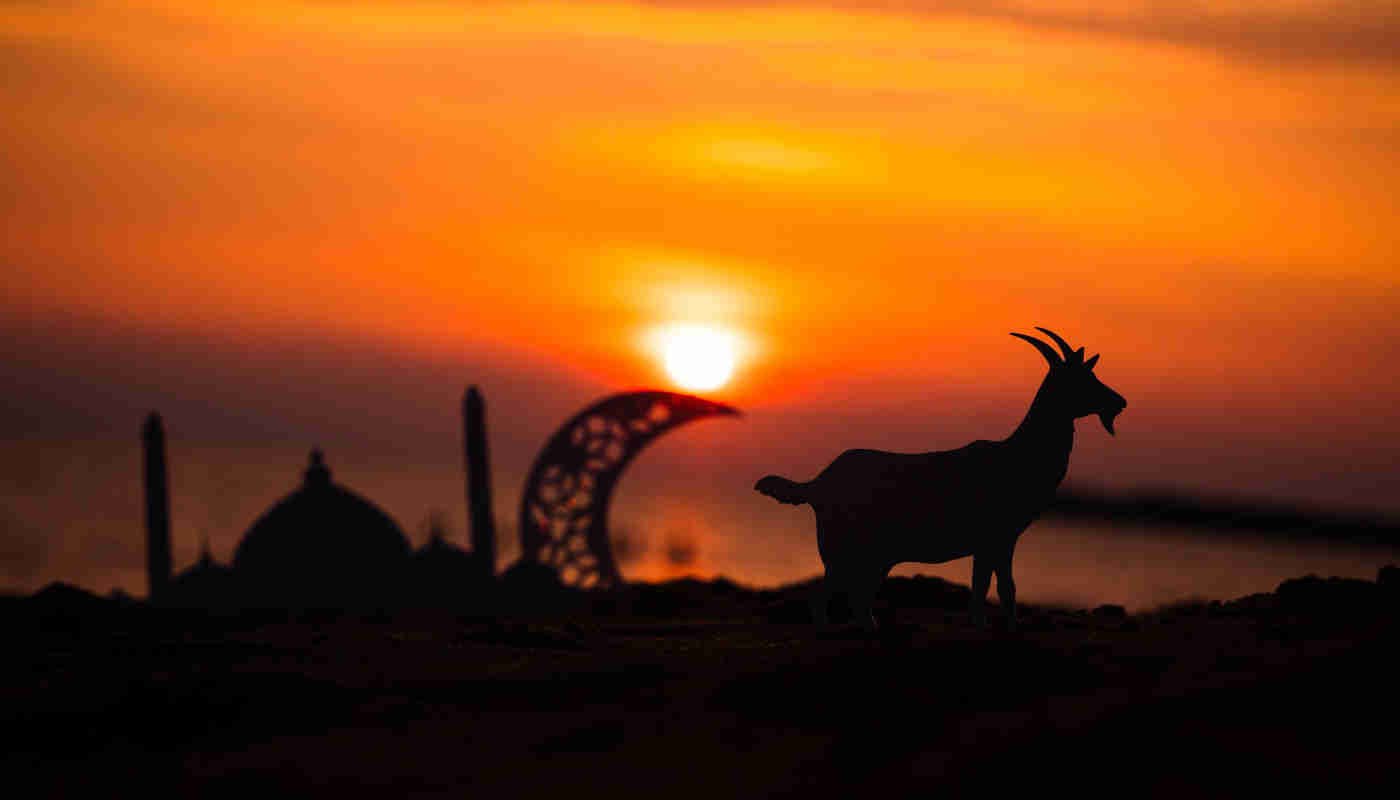 ¿Cómo se celebra el Día del Cordero en Egipto? Guía