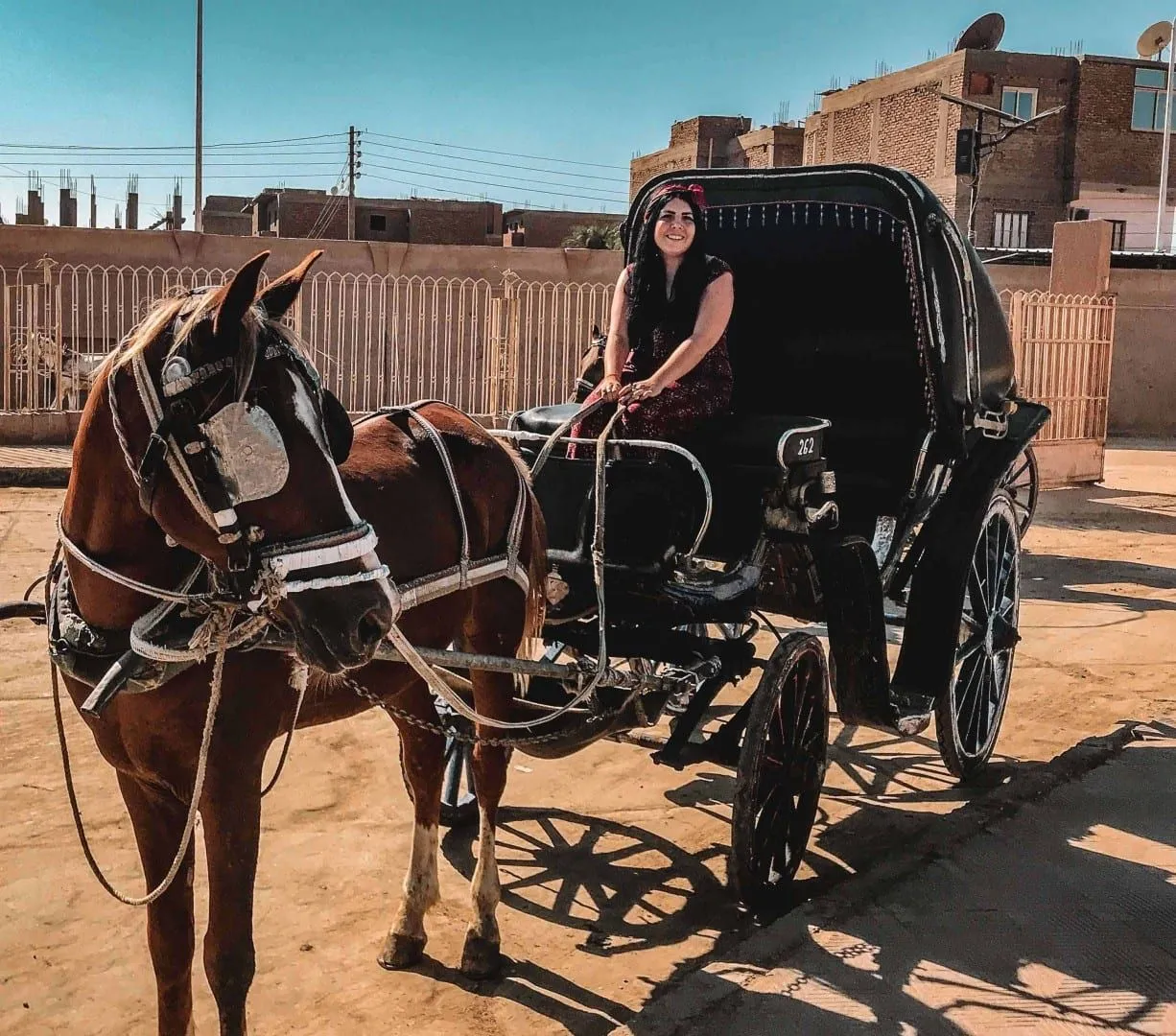 Visita Guiada Por Asuán Tour Privado VIP en Coche de Caballos