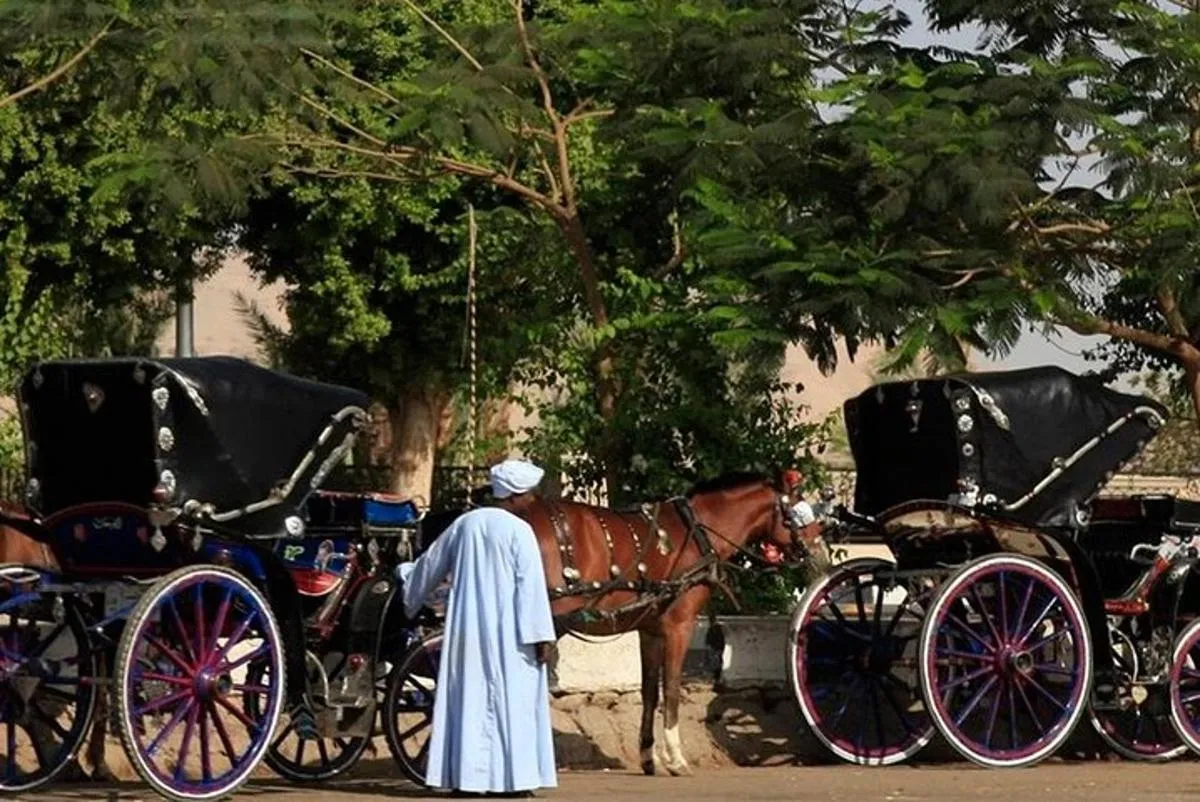Visita Guiada Por Asuán Tour Privado VIP en Coche de Caballos
