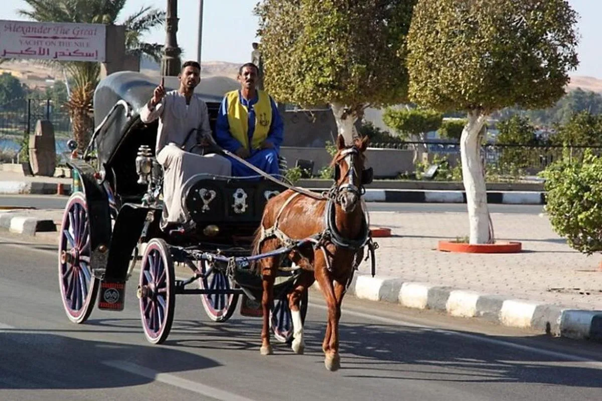 Visita Guiada Por Asuán Tour Privado VIP en Coche de Caballos