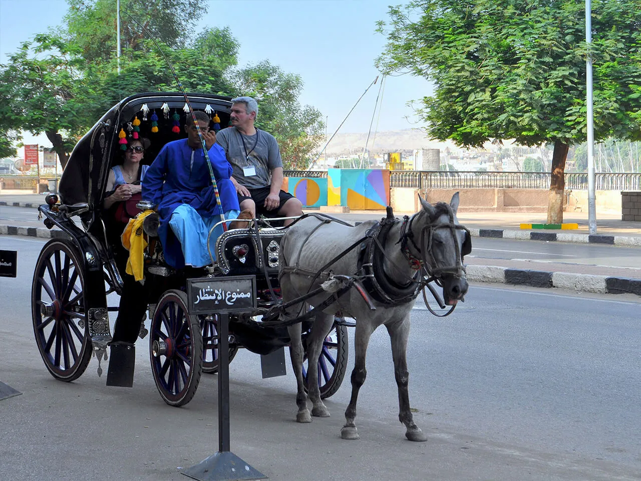 Visita Guiada Por Asuán Tour Privado VIP en Coche de Caballos